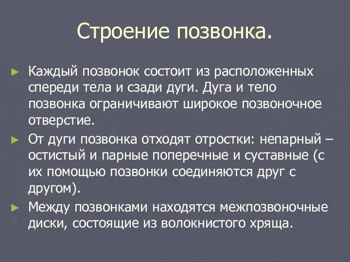 Строение позвонка. Каждый позвонок состоит из расположенных спереди тела и сзади