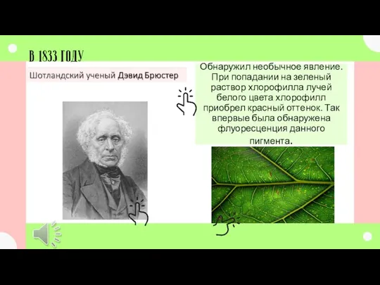 Обнаружил необычное явление. При попадании на зеленый раствор хлорофилла лучей белого