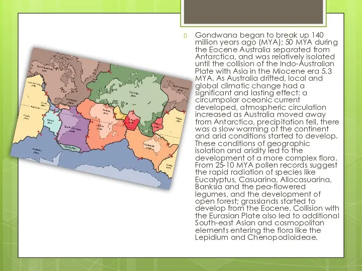 Gondwana began to break up 140 million years ago (MYA); 50