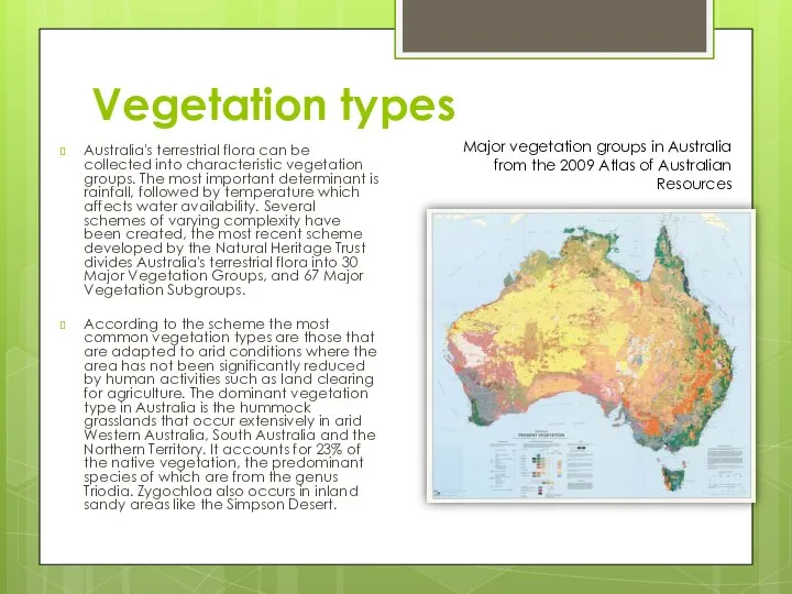 Vegetation types Australia's terrestrial flora can be collected into characteristic vegetation