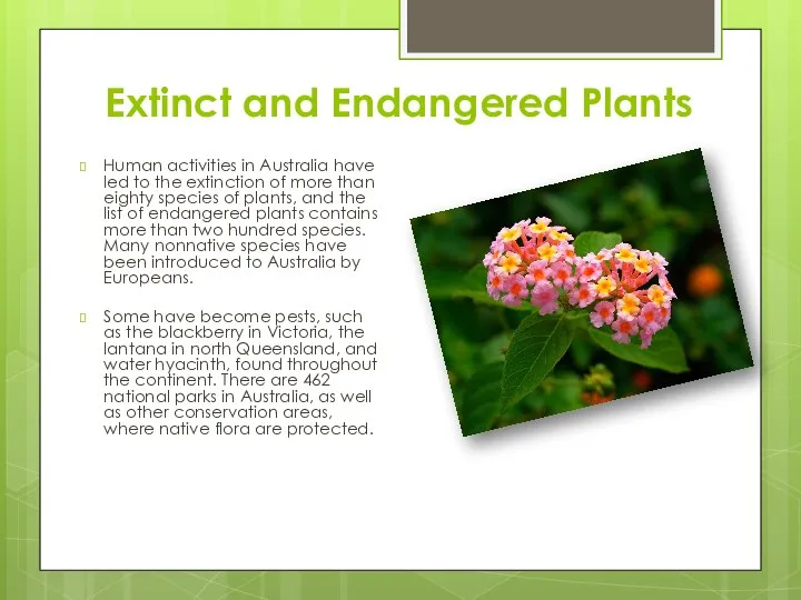 Extinct and Endangered Plants Human activities in Australia have led to