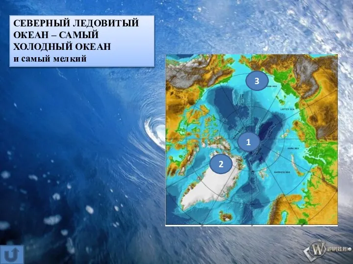 СЕВЕРНЫЙ ЛЕДОВИТЫЙ ОКЕАН – САМЫЙ ХОЛОДНЫЙ ОКЕАН и самый мелкий 1 3 2