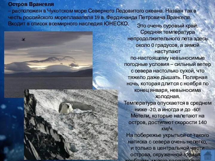 Остров Врангеля – расположен в Чукотском море Северного Ледовитого океана. Назван