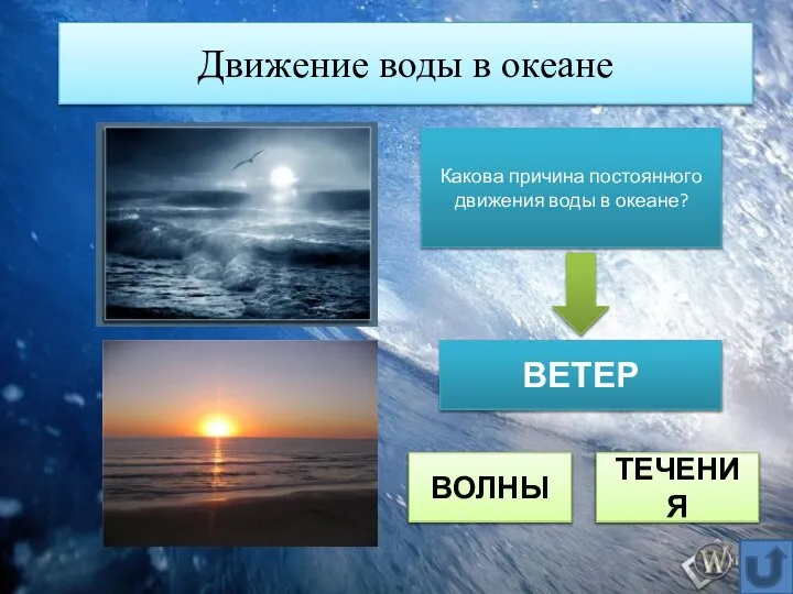 Движение воды в океане Какова причина постоянного движения воды в океане? ВЕТЕР ВОЛНЫ ТЕЧЕНИЯ