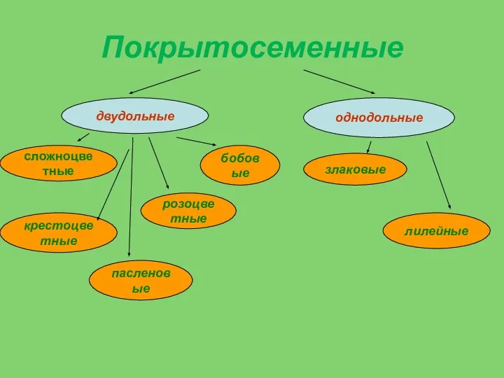 Покрытосеменные двудольные однодольные сложноцветные розоцветные бобовые крестоцветные пасленовые злаковые лилейные