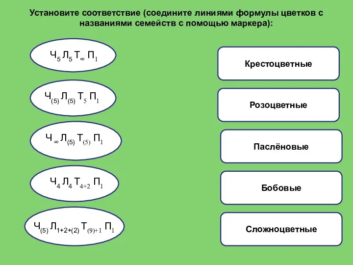 Крестоцветные Розоцветные Паслёновые Бобовые Сложноцветные Установите соответствие (соедините линиями формулы цветков