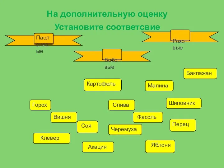 Фасоль Вишня Картофель Горох Баклажан Черемуха Слива Яблоня Перец Шиповник Акация