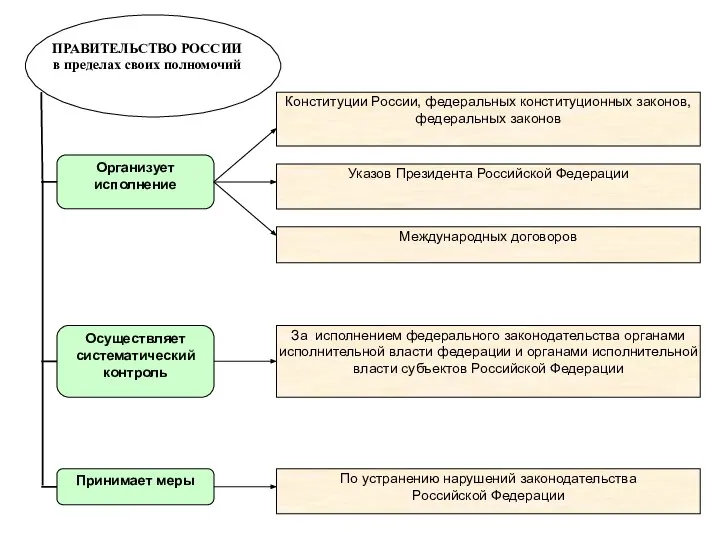 ПРАВИТЕЛЬСТВО РОССИИ в пределах своих полномочий Организует исполнение Осуществляет систематический контроль