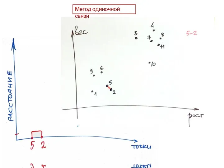 Метод одиночной связи