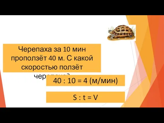 Черепаха за 10 мин проползёт 40 м. С какой скоростью ползёт