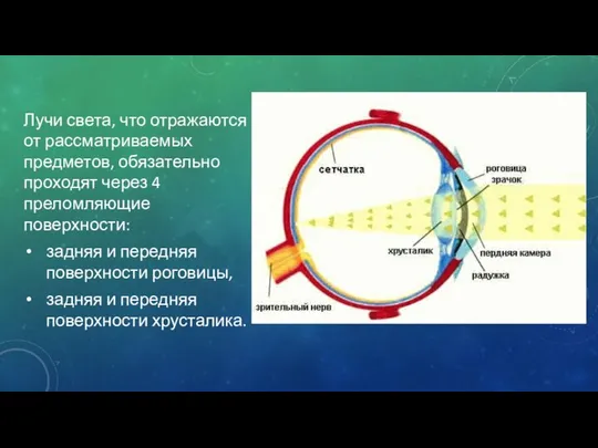 Лучи света, что отражаются от рассматриваемых предметов, обязательно проходят через 4