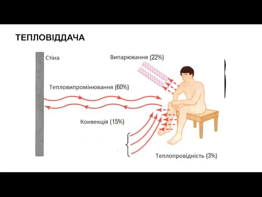 ТЕПЛОВІДДАЧА