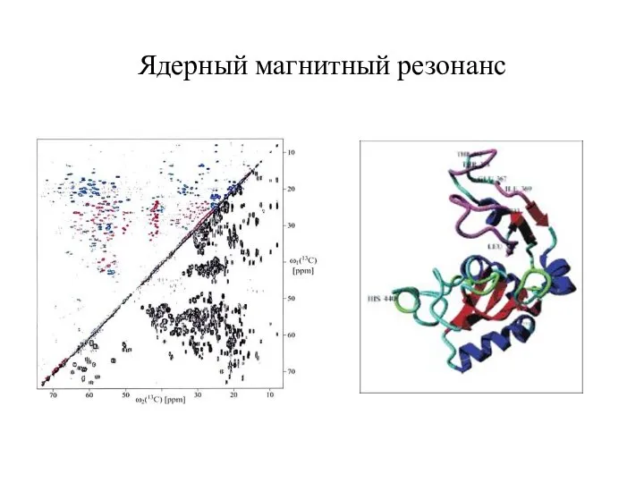 Ядерный магнитный резонанс