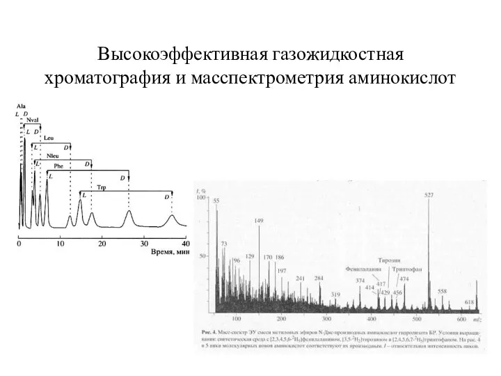 Высокоэффективная газожидкостная хроматография и масспектрометрия аминокислот