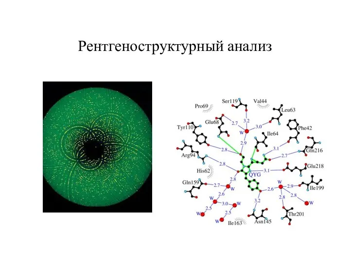 Рентгеноструктурный анализ