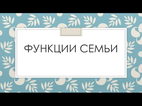 ФУНКЦИИ СЕМЬИ