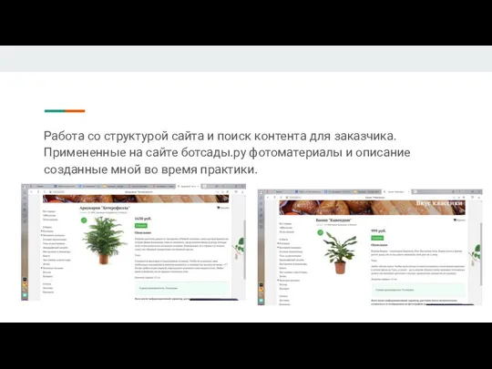 Работа со структурой сайта и поиск контента для заказчика.Примененные на сайте