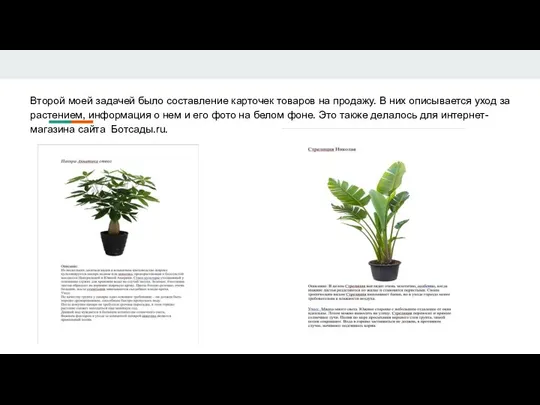 Второй моей задачей было составление карточек товаров на продажу. В них