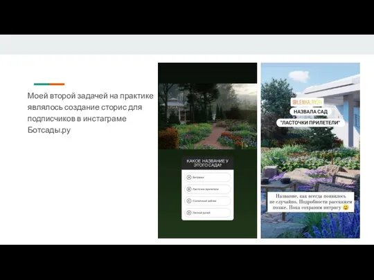 Моей второй задачей на практике являлось создание сторис для подписчиков в инстаграме Ботсады.ру