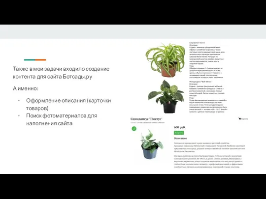 Также в мои задачи входило создание контента для сайта Ботсады.ру А