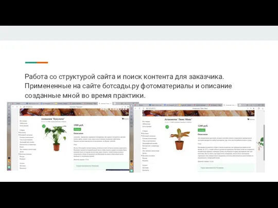 Работа со структурой сайта и поиск контента для заказчика.Примененные на сайте