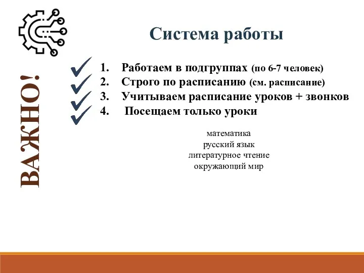 Система работы Работаем в подгруппах (по 6-7 человек) Строго по расписанию