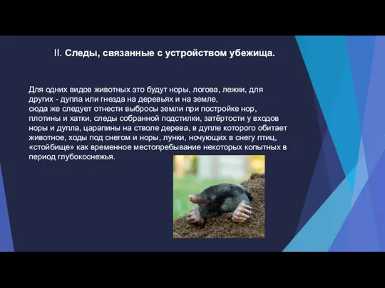 II. Следы, связанные с устройством убежища. Для одних видов животных это