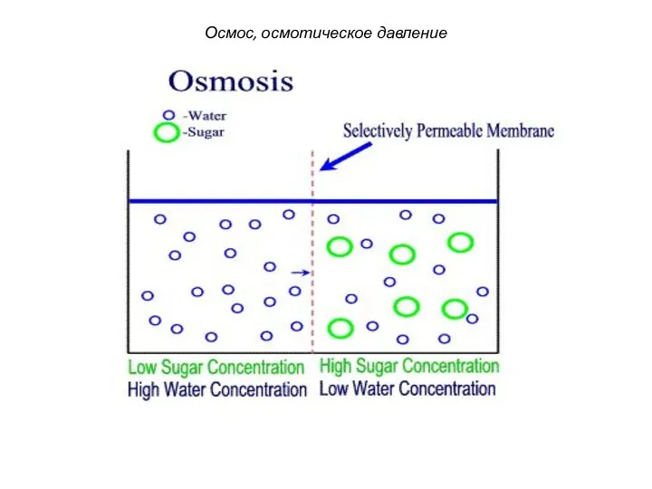 Осмос, осмотическое давление