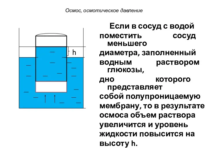 Если в сосуд с водой поместить сосуд меньшего диаметра, заполненный водным