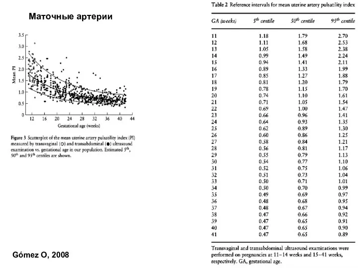 Маточные артерии Gómez O, 2008