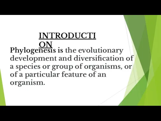 INTRODUCTION Phylogenesis is the evolutionary development and diversification of a species