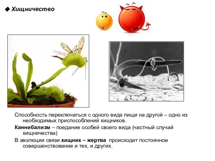 Хищничество Способность переключаться с одного вида пищи на другой – одно