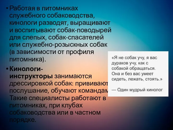 Работая в питомниках служебного собаководства, кинологи разводят, выращивают и воспитывают собак-поводырей