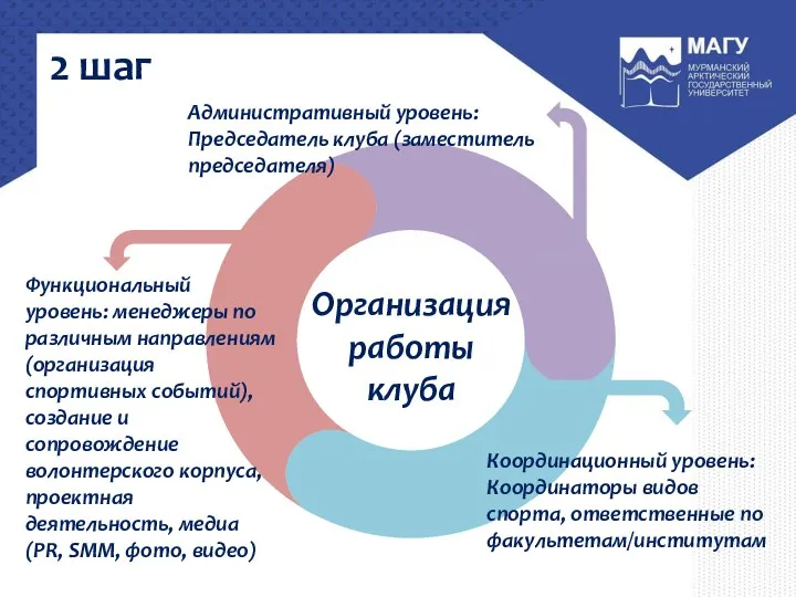 Организация работы клуба Функциональный уровень: менеджеры по различным направлениям (организация спортивных