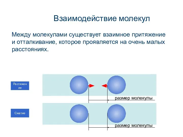 Взаимодействие молекул Между молекулами существует взаимное притяжение и отталкивание, которое проявляется