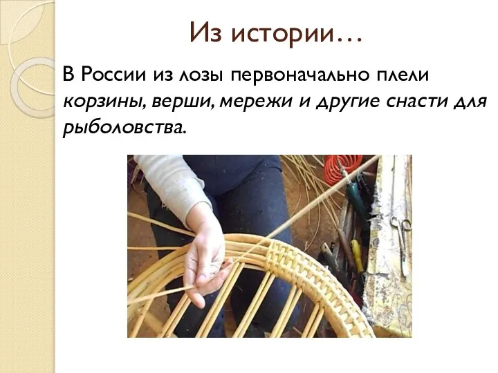 Из истории… В России из лозы первоначально плели корзины, верши, мережи и другие снасти для рыболовства.