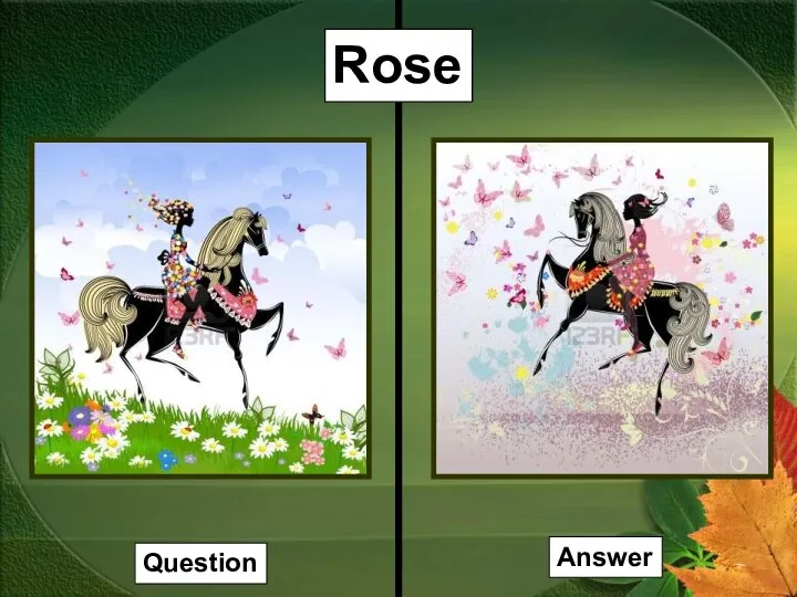 Rose Question Answer