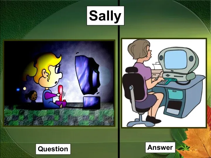 Sally Question Answer