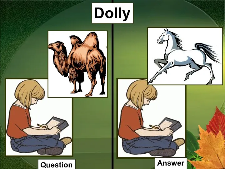 Dolly Question Answer