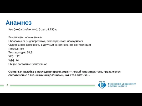 Анамнез Кот Симба (мейн- кун), 5 лет, 4.750 кг Вакцинация: проводилась