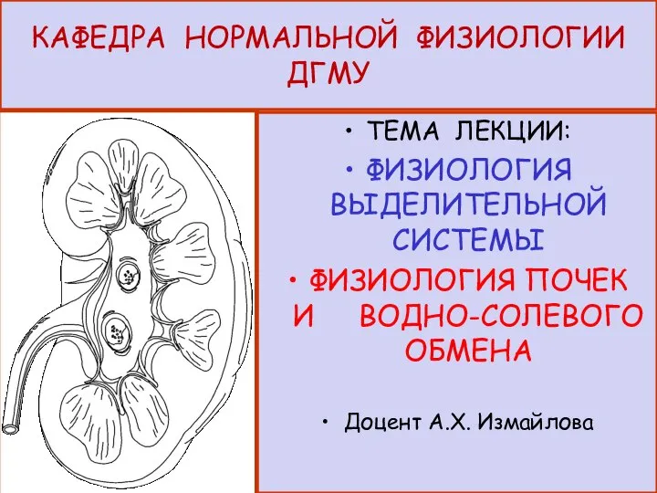 КАФЕДРА НОРМАЛЬНОЙ ФИЗИОЛОГИИ ДГМУ ТЕМА ЛЕКЦИИ: ФИЗИОЛОГИЯ ВЫДЕЛИТЕЛЬНОЙ СИСТЕМЫ ФИЗИОЛОГИЯ ПОЧЕК