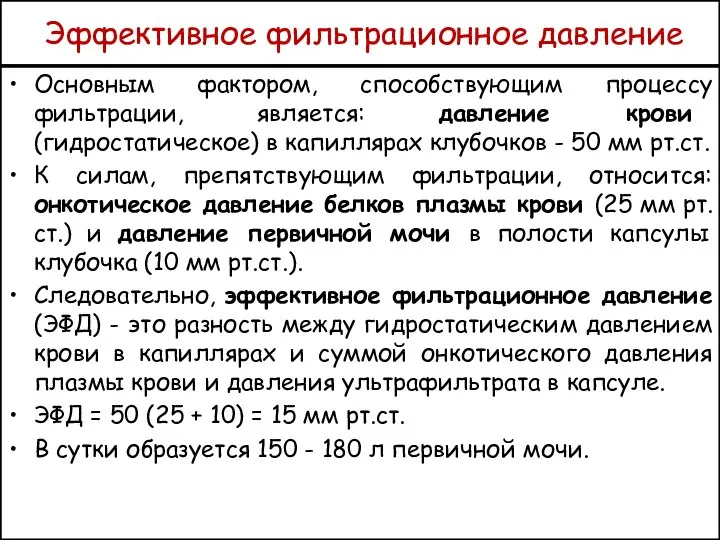 Эффективное фильтрационное давление Основным фактором, способствующим процессу фильтрации, является: давление крови