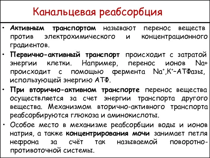 Канальцевая реабсорбция Активным транспортом называют перенос веществ против электрохимического и концентрационного