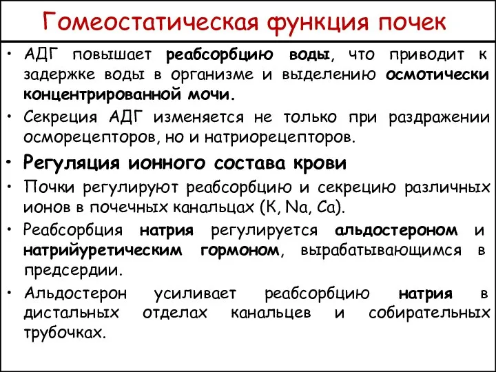 Гомеостатическая функция почек АДГ повышает реабсорбцию воды, что приводит к задержке