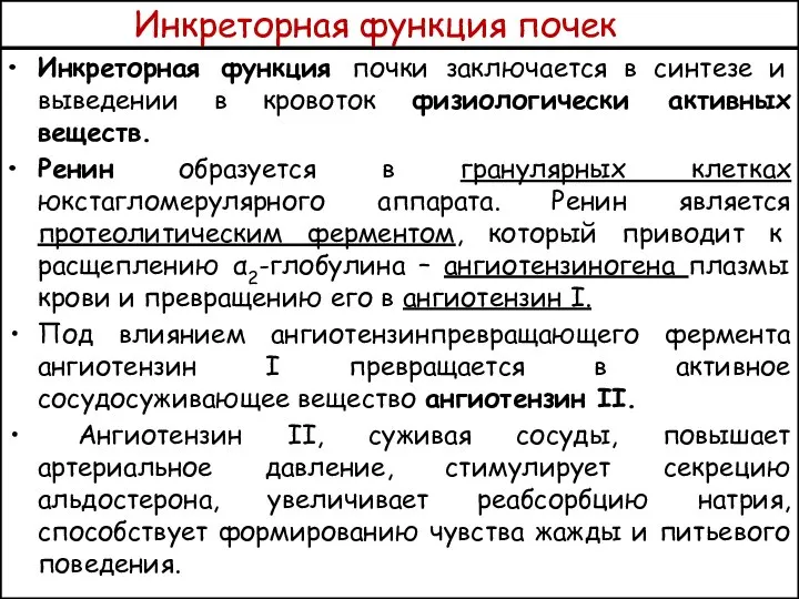 Инкреторная функция почек Инкреторная функция почки заключается в синтезе и выведении