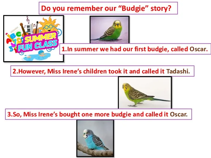 Do you remember our “Budgie” story? 1.In summer we had our