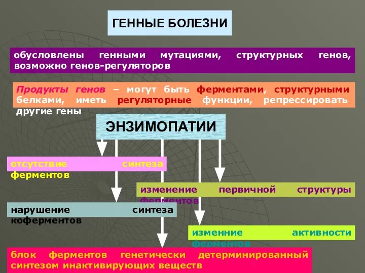 ГЕННЫЕ БОЛЕЗНИ обусловлены генными мутациями, структурных генов, возможно генов-регуляторов Продукты генов