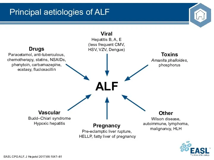 Principal aetiologies of ALF EASL CPG ALF. J Hepatol 2017;66:1047–81