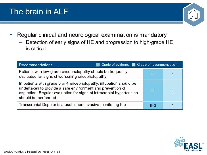 The brain in ALF EASL CPG ALF. J Hepatol 2017;66:1047–81 Regular