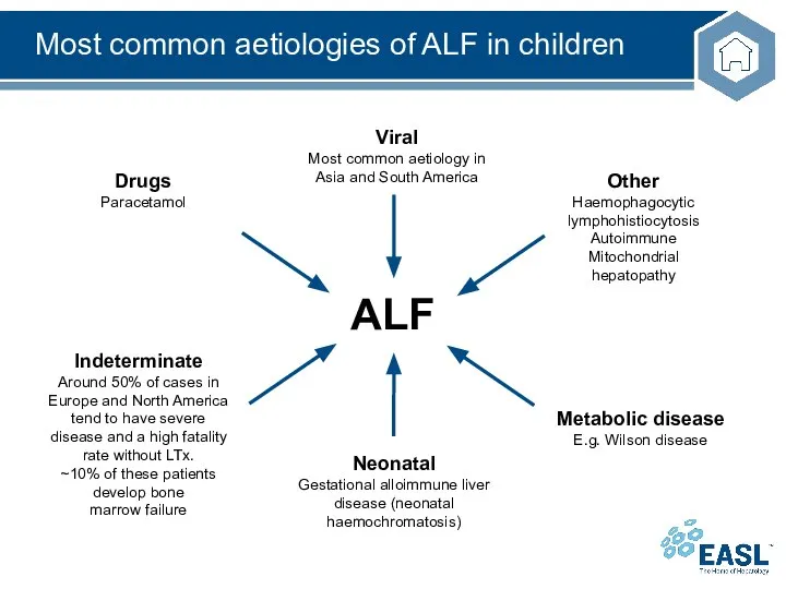Most common aetiologies of ALF in children